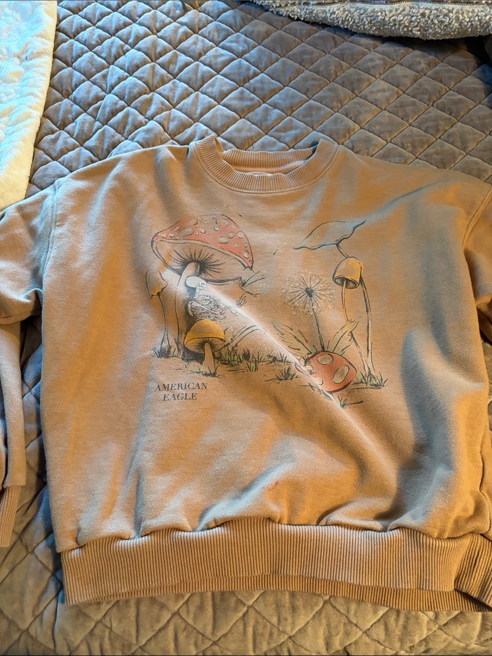 American Eagle Outfitters Tan Crewneck Sweater with Mushroom Graphic